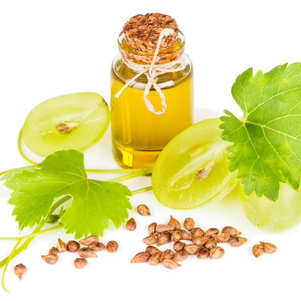 2026郑州国际天然提取物与健康原料展览会